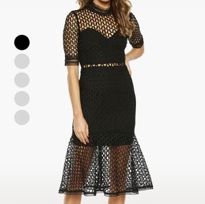 Bardot Fiona mesh dress black size 8